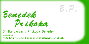 benedek prikopa business card